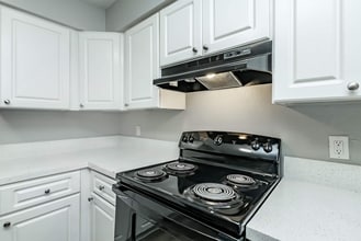 Interior Photo - Locale St. Johns