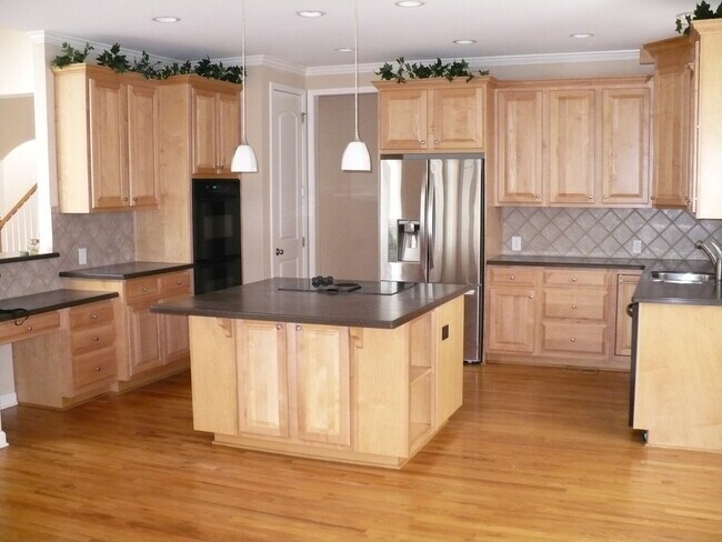 Building Photo - 1115 Lytton Ln