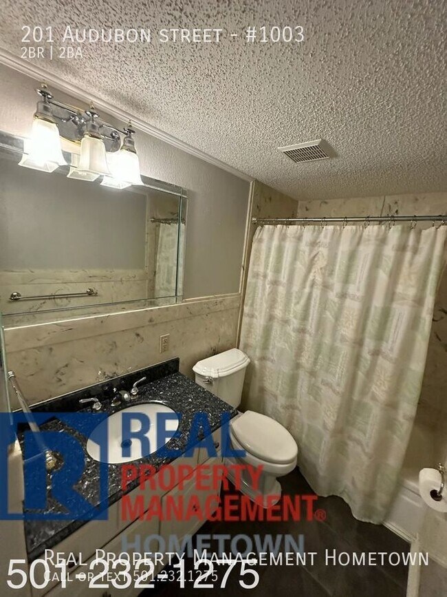 Building Photo - Cute Apartment in the Heart of Hot Springs!!