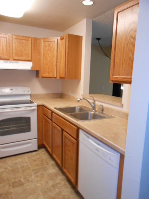 Building Photo - 1300 Mount Sopris Dr