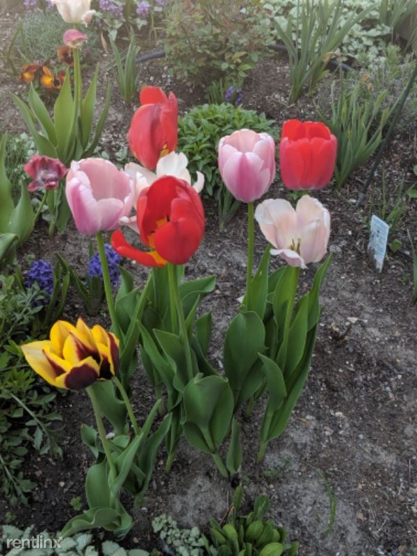 Foto del edificio - 530 N Ewing St