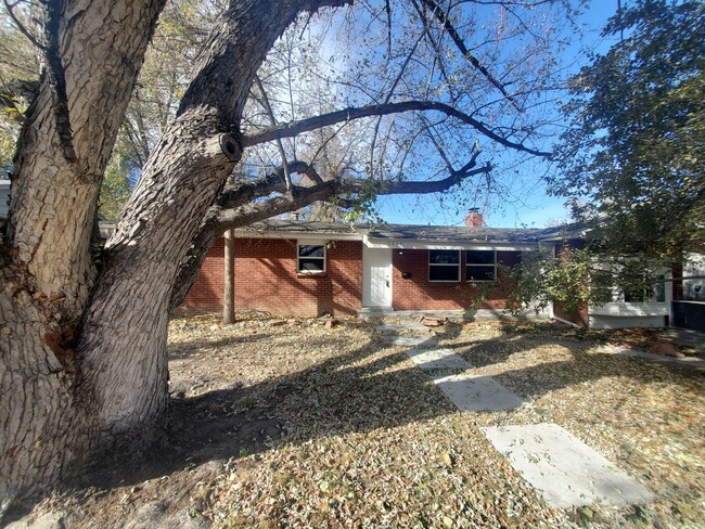 Foto del edificio - Spacious Ranch Style 4 BR Available in Aug...