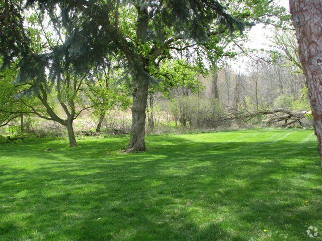 Yard - Forest View Apartments