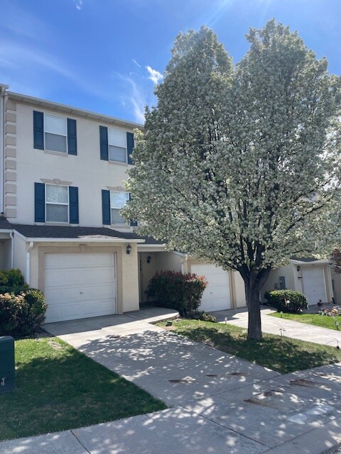 Building Photo - 354 Braidhill Dr
