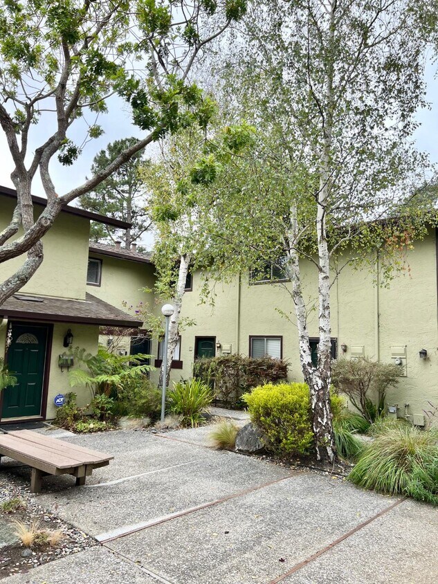 1099 Oddstad Blvd, Pacifica, CA 94044 Townhouse for Rent in Pacifica