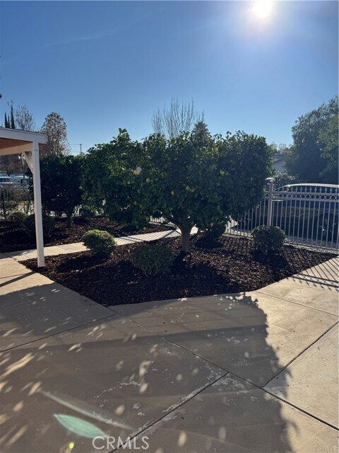 Foto del edificio - 22445 Dolorosa St