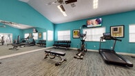 This fitness center is a thoughtfully designed, single-floor workout facility that offers a comprehensive range of exercise equipment to accommodate various training styles. The space is immediately distinguished by its bold teal accent walls, which create an energizing atmosphere complemented by patterned carpet flooring throughout.

The cardio area is well-stocked with treadmills, an elliptical trainer, a rowing machine, and a recumbent stationary bike, providing ample options for aerobic workouts. A wall-mounted flat-screen television is positioned for easy viewing during cardio sessions. The strength training section includes a multi-station cable machine, adjustable weight benches, and two full dumbbell racks offering a wide range of free weights. A dedicated shelf unit stores medicine balls and kettlebells for functional training.

Full-length mirrors along one wall enhance the sense of space and allow users to monitor their form during exercises. Ceiling fans are installed throughout to maintain air circulation, and large windows fitted with white blinds allow natural light to filter into the space. Glass-paned interior doors provide access to additional storage or adjacent areas. The facility is well-lit with overhead fluorescent lighting, ensuring a bright and functional environment for all types of workouts.