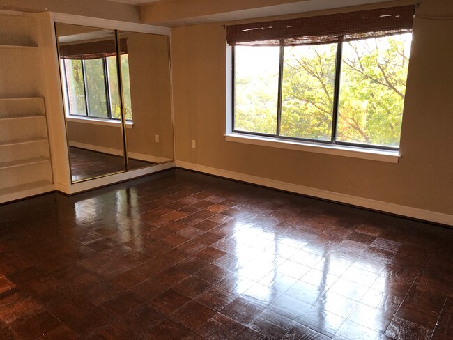 Summer view - 3101 New Mexico Ave NW