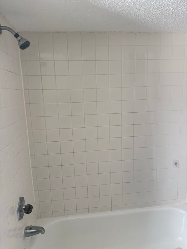 Foto del edificio - 447 S Washington St