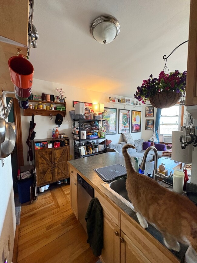 Photo - 1802 Massachusetts Ave Apartment