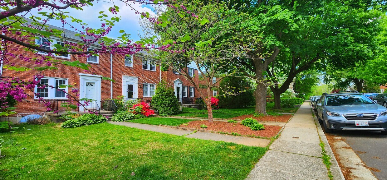 Foto principal - 132 Murdock Rd