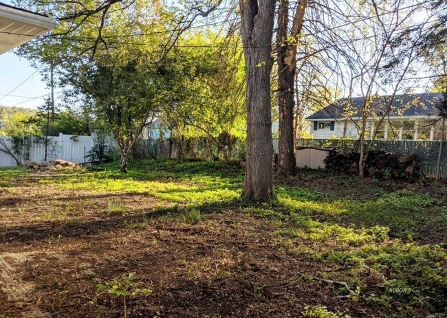 Backyard - 28 Euclid Dr