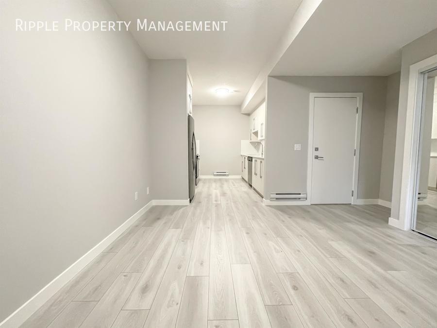 Primary Photo - AMAZING MODERN 1 BED/ 1 BATH BASEMENT SUIT...