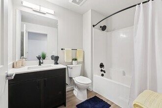 Interior Photo - NIWA