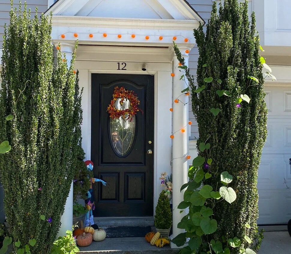 12 S Sydney St, Boston, MA 02125 Townhome Rentals in Boston MA