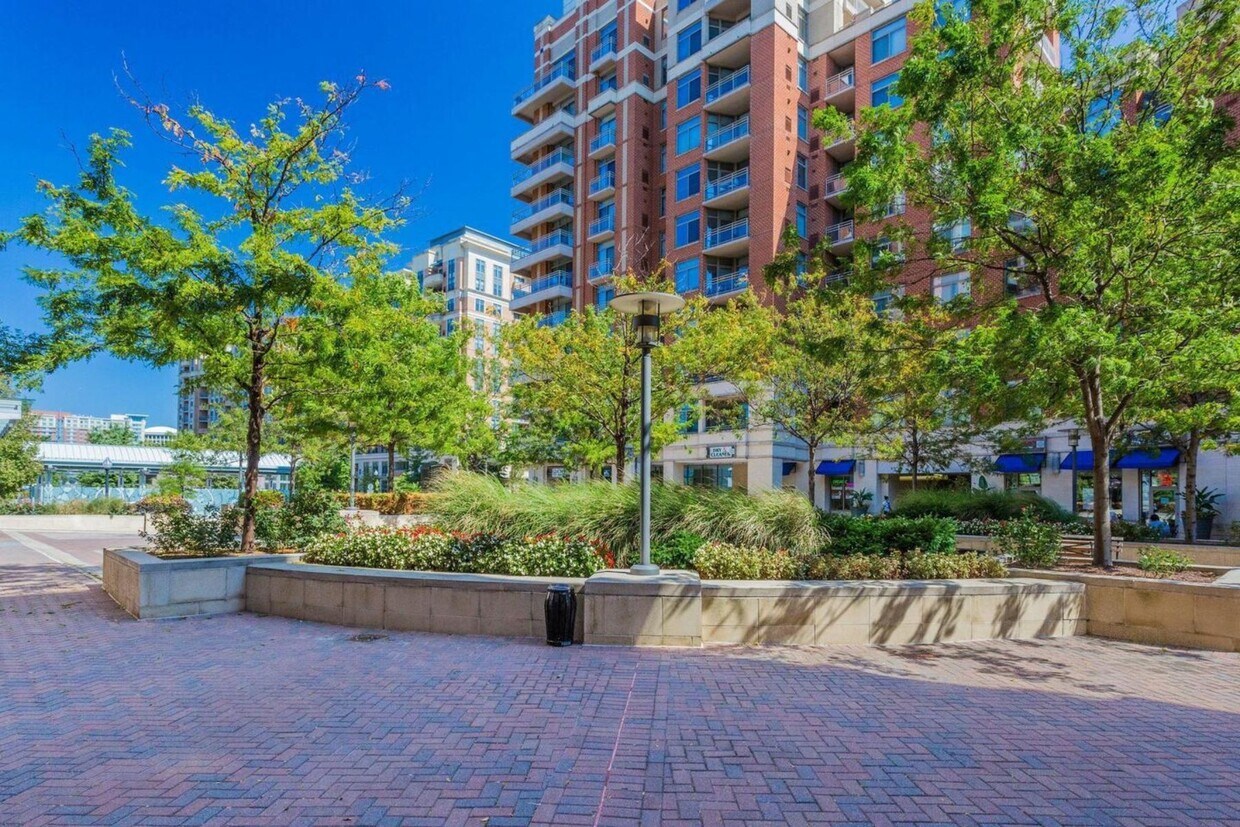 Foto principal - 3650 S Glebe Rd