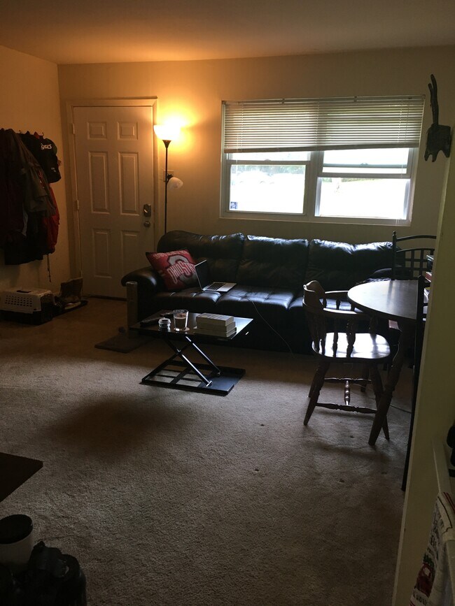 Living Room - 909 W Aaron Dr