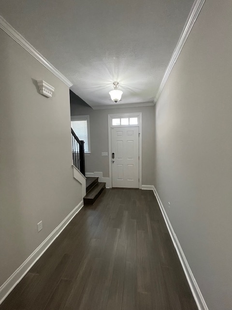 Building Photo - 501 Brantley Cove Cir