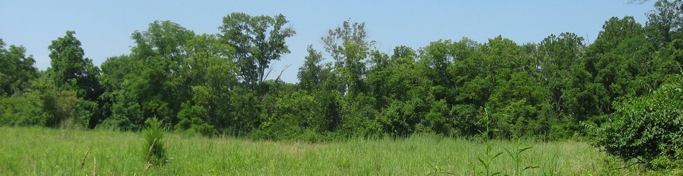 Picture of Milford