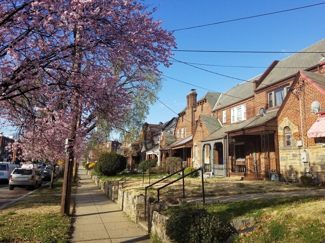 5124 New Hampshire Ave NW Unit 1 Bdm Basement Apartment, Washington, DC