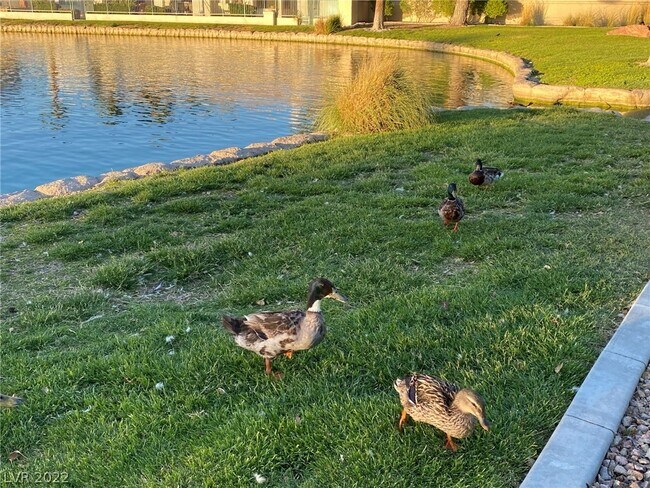 Foto del edificio - 8013 Coral Point Ave
