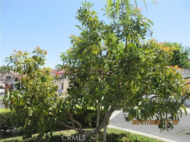 Building Photo - 6777 Ossabaw Ct