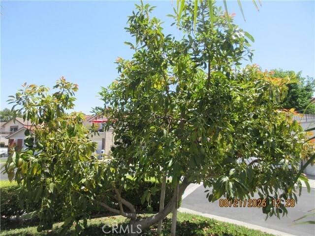 Foto del edificio - 6777 Ossabaw Ct