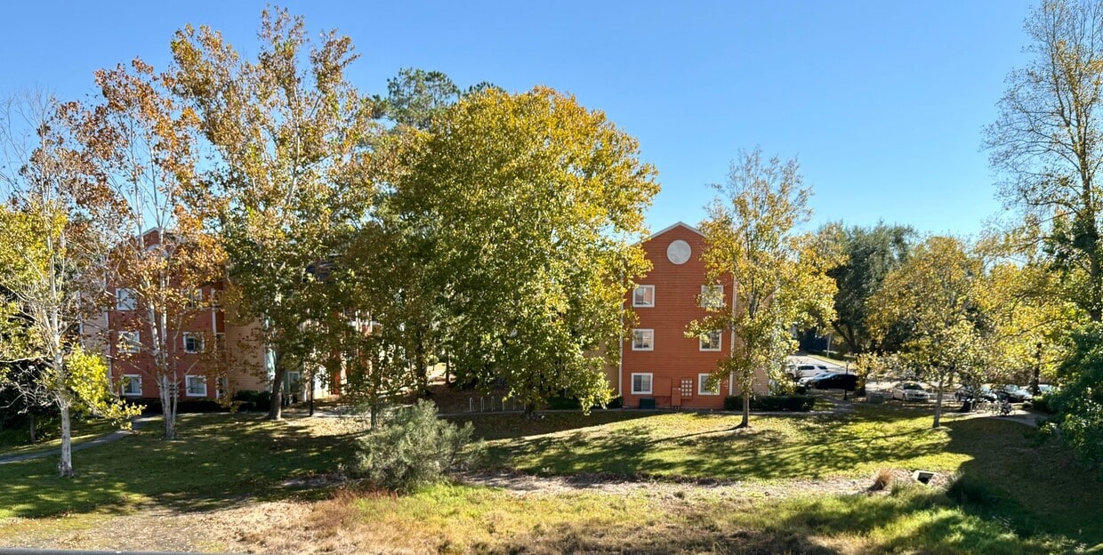 Foto principal - Renovated 4BR/2BA 3rd-Floor Condo – Minutes to UF, Shands & VA | University Commons