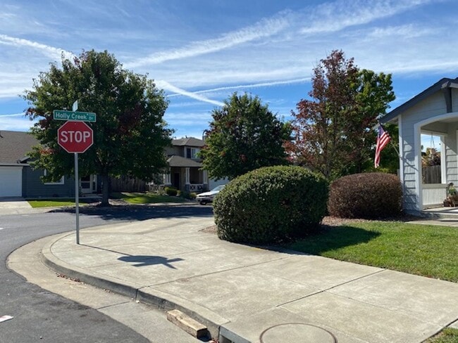 Building Photo - ~Beautiful 3 Bed 2 Bath House in Santa Rosa~