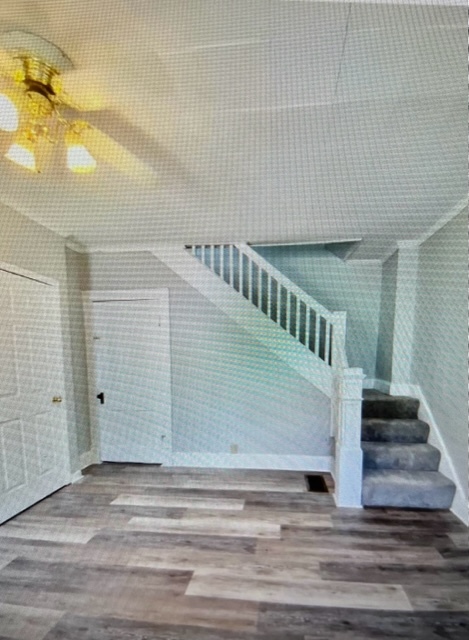 Dining Room - 104 Paxton Ave