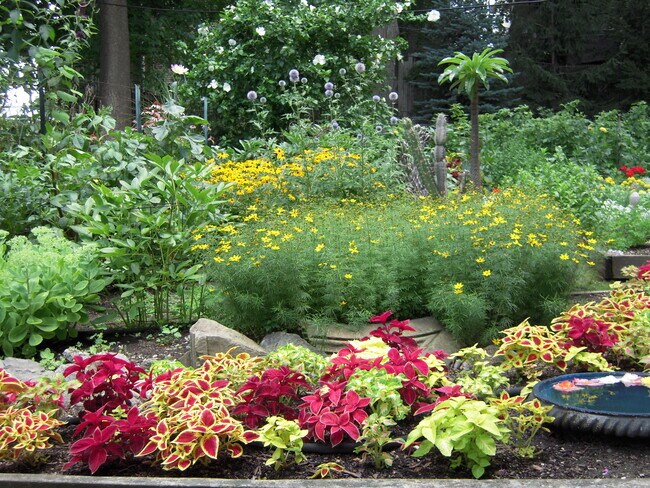 garden at 65 Draper St - 65 Draper St