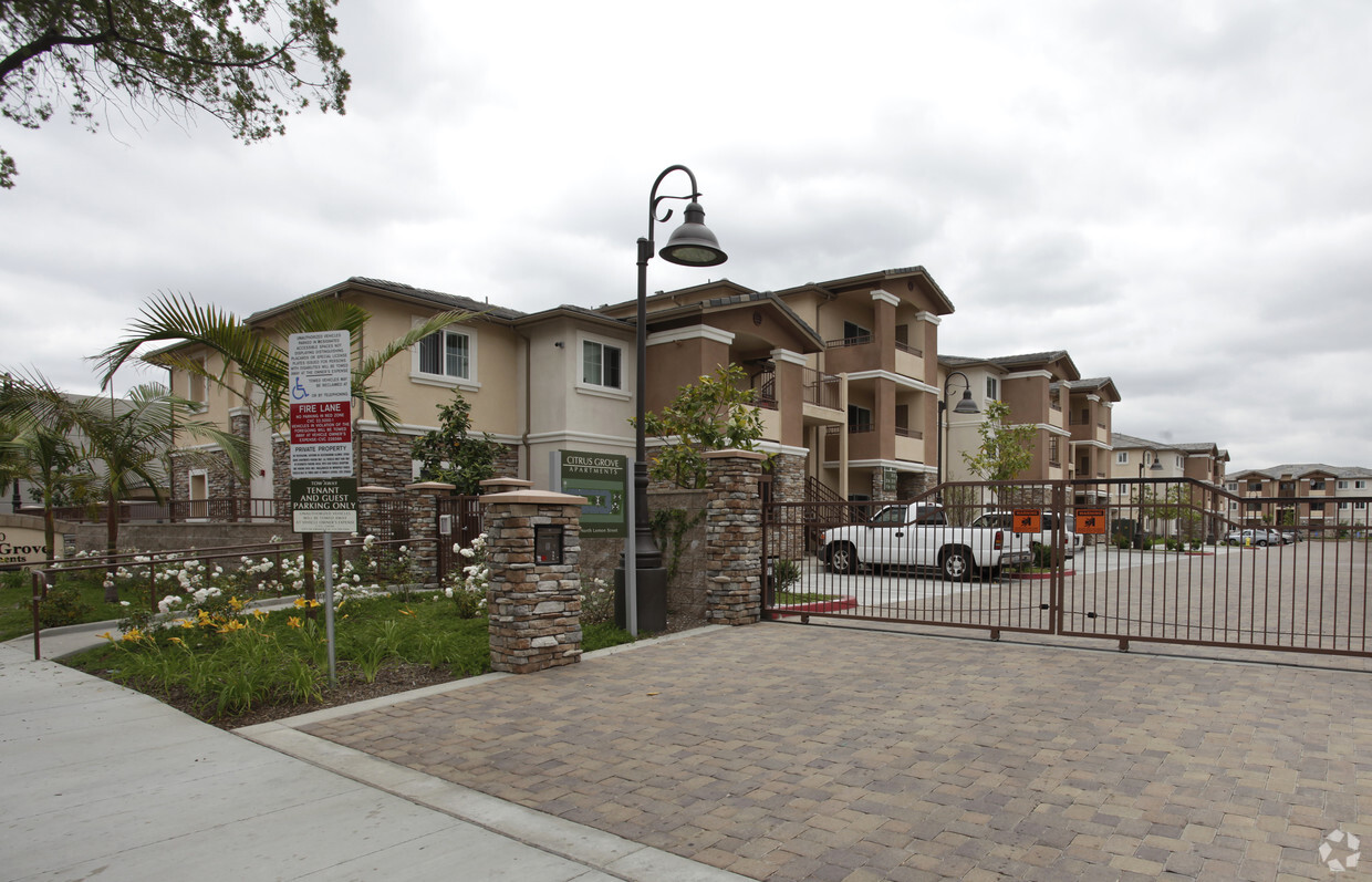 Primary Photo - Citrus Grove Apartments