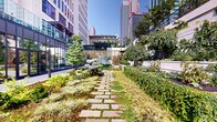 Located in the heart of downtown Columbus, Ohio, this outdoor garden space at 155 E Broad St offers a striking contrast to the surrounding urban skyline. The garden is thoughtfully designed with a rich variety of plantings, including ornamental grasses, ferns, ground covers, dwarf conifers, and specimen trees, creating a lush, layered landscape that shifts in texture and color throughout. A stone-paved pathway winds through the garden's center, guiding visitors through distinct planting zones and inviting exploration of the space. A standout architectural element — a circular moon gate — serves as a visual focal point, framing views deeper into the garden and lending an artistic, contemplative quality to the environment. Tiered retaining walls clad in light-toned concrete panels rise along one edge, planted with cascading vines and shrubs that soften the hardscape and add vertical dimension. Natural boulders are incorporated into the plantings, enhancing the organic character of the design. A full-height glass curtain wall runs along the adjacent building facade, reflecting the greenery and flooding interior spaces with natural light. Sleek, low-profile bollard lighting is distributed throughout, ensuring the garden remains inviting after dark. The space offers a serene, well-curated retreat amid the energy of downtown Columbus.