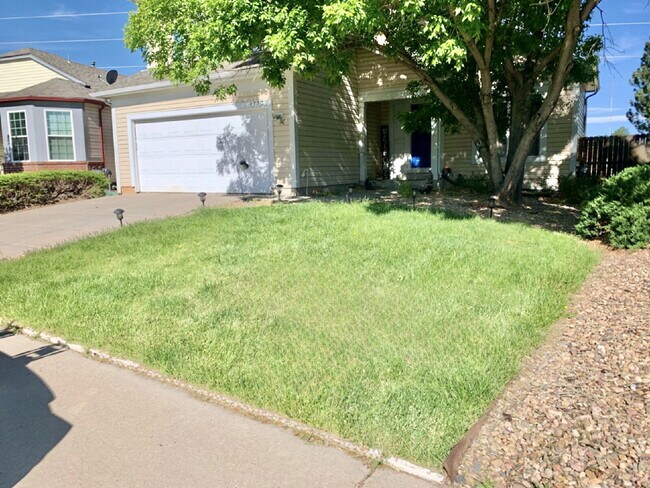 Foto del edificio - Wonderful 3 Bedroom Home in Parker