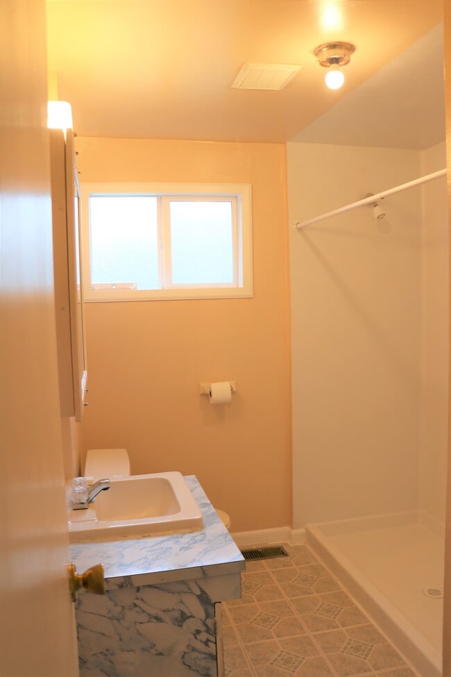 Master bedroom 3/4 bathroom: sink, toilet, double-headed shower - 3609 S 186th St