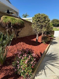 Building Photo - 28142 Paseo Rincon