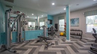 Located at 1100 Carriage House Way in Williamsburg, Virginia, this fitness center offers a thoughtfully designed workout space that balances functionality with a polished aesthetic. The room is finished with vibrant teal accent walls complemented by neutral grey tones, creating an energizing yet inviting atmosphere. Underfoot, a stylish herringbone-patterned carpet tile adds a modern touch to the space.

Natural light filters in through multiple windows dressed with patterned Roman shades, keeping the environment bright and welcoming. Recessed lighting throughout ensures consistent illumination across the entire floor plan. Full-length mirrors line one wall, enhancing the sense of openness and allowing users to monitor their form during workouts.

The space is well-equipped for a comprehensive fitness routine. Cardio offerings include a True treadmill, an elliptical cross-trainer, and a stationary bike. Strength training is supported by a Hoist cable machine, a multi-function weight bench, a rack of dumbbells spanning a range of weights, kettlebells, and medicine balls. A wall-mounted flat-screen television provides entertainment during workouts.

Entry is through elegant French doors with glass panels, adding an architectural charm to the space. A central support column painted in teal serves as a subtle design accent. The overall layout is open and spacious, allowing for comfortable movement between equipment stations.