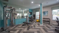 Located at 1100 Carriage House Way in Williamsburg, Virginia, this fitness center offers a thoughtfully designed workout space that balances functionality with a polished aesthetic. The room is finished with vibrant teal accent walls complemented by neutral grey tones, creating an energizing yet inviting atmosphere. Underfoot, a stylish herringbone-patterned carpet tile adds a modern touch to the space.

Natural light filters in through multiple windows dressed with patterned Roman shades, keeping the environment bright and welcoming. Recessed lighting throughout ensures consistent illumination across the entire floor plan. Full-length mirrors line one wall, enhancing the sense of openness and allowing users to monitor their form during workouts.

The space is well-equipped for a comprehensive fitness routine. Cardio offerings include a True treadmill, an elliptical cross-trainer, and a stationary bike. Strength training is supported by a Hoist cable machine, a multi-function weight bench, a rack of dumbbells spanning a range of weights, kettlebells, and medicine balls. A wall-mounted flat-screen television provides entertainment during workouts.

Entry is through elegant French doors with glass panels, adding an architectural charm to the space. A central support column painted in teal serves as a subtle design accent. The overall layout is open and spacious, allowing for comfortable movement between equipment stations.