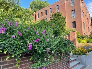 Building Photo - 311 Tappan St