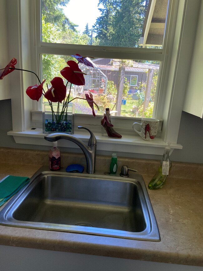 Yard and greenhouse view - 4441 S 188th St