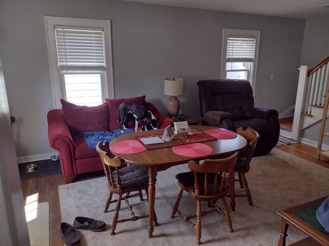 Living room with dog Max on the couch - 21 Oak St