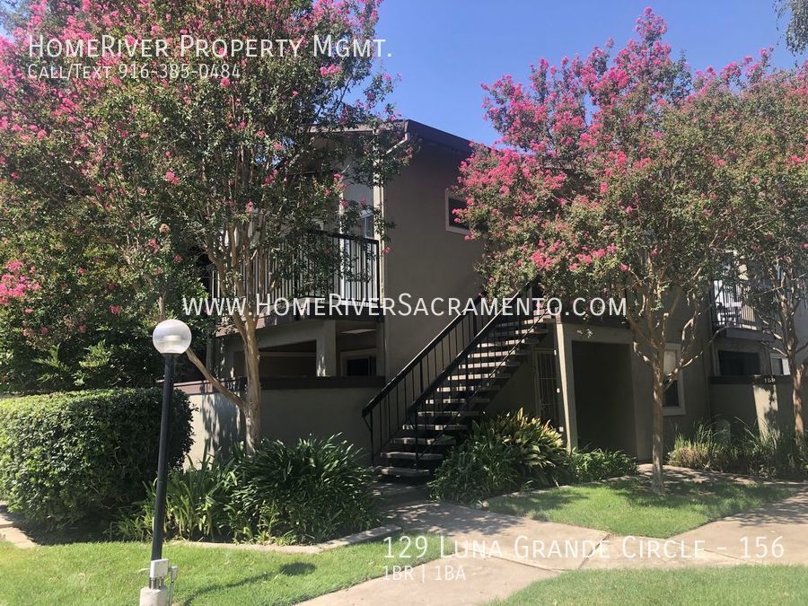 Primary Photo - 129 Luna Grande Cir