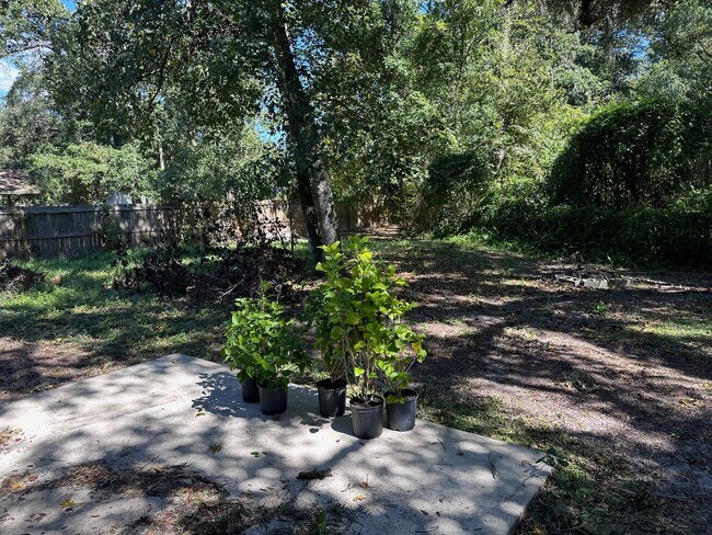 Fenced backyard - 11467 Gwynford Ln