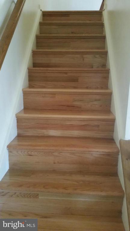 Foto del edificio - 3405 Tuckahoe Ct