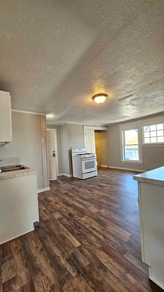 large walk-in pantry & extra storage in kitchen - 1014 Valley St