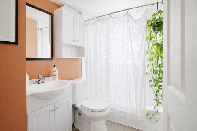 Bathroom - 93 Clayton St