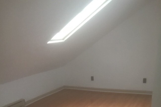 Bedroom 1 skylight - 1326 S Pittsburgh St