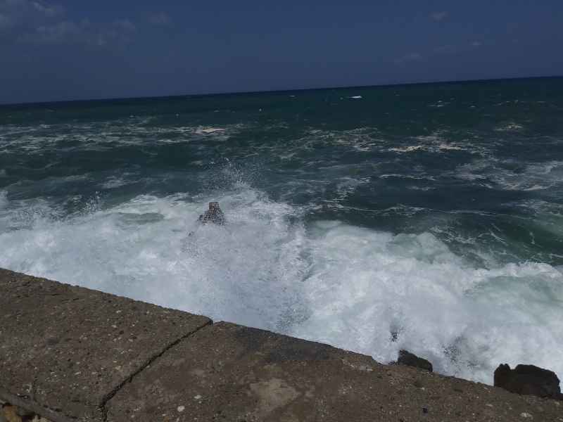 Building Photo - 1176 Panda Rd