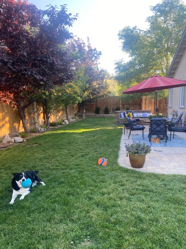 Fully fenced backyard with doggy door - 7200 Ishi Point Ct