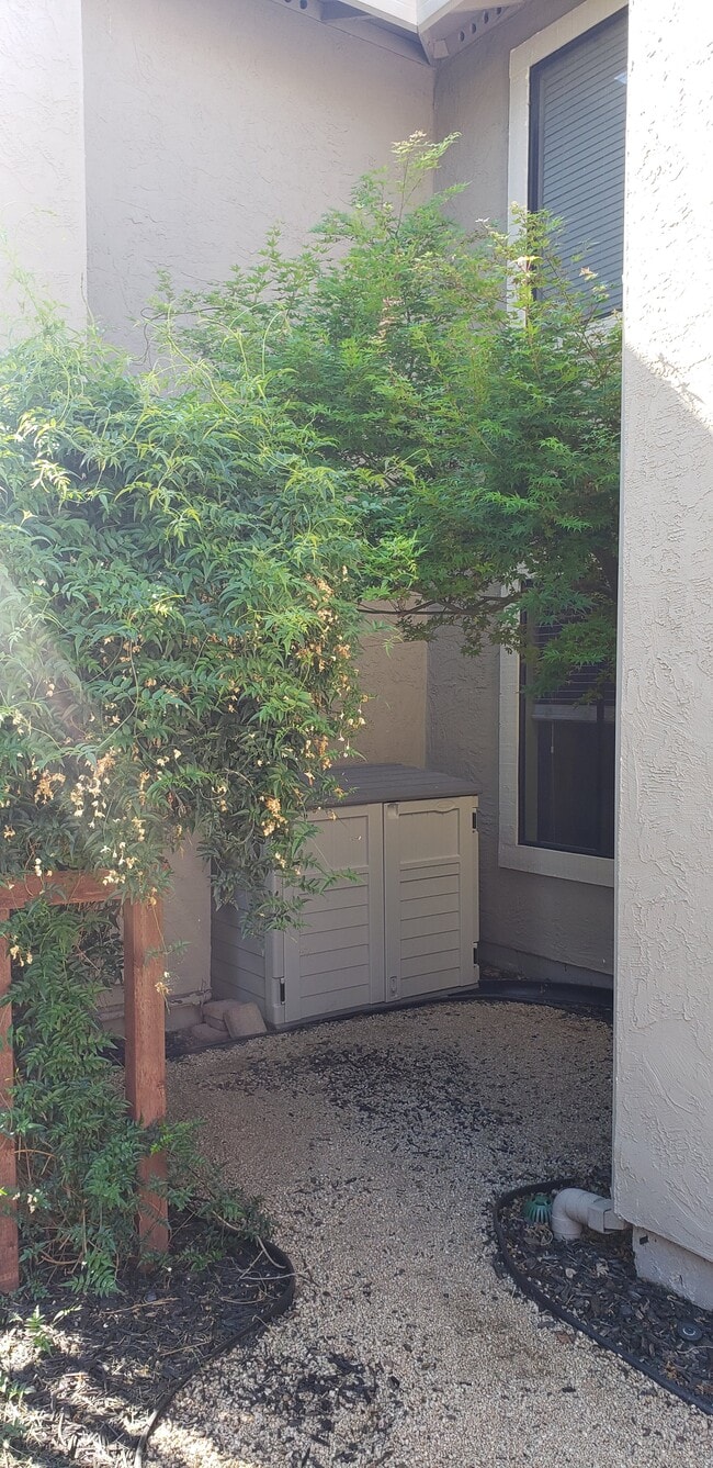 Storage - 3735 Crow Canyon Rd
